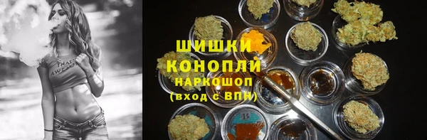 PSILOCYBIN Лихославль