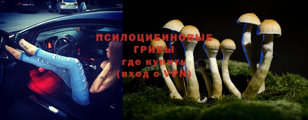 PSILOCYBIN Лихославль