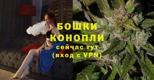 молекула духа Лиски