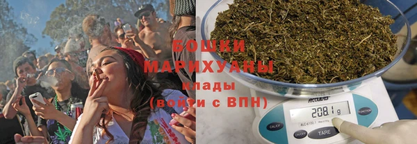 PSILOCYBIN Лихославль