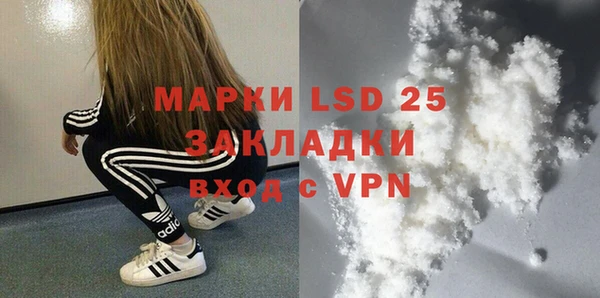 PSILOCYBIN Лихославль