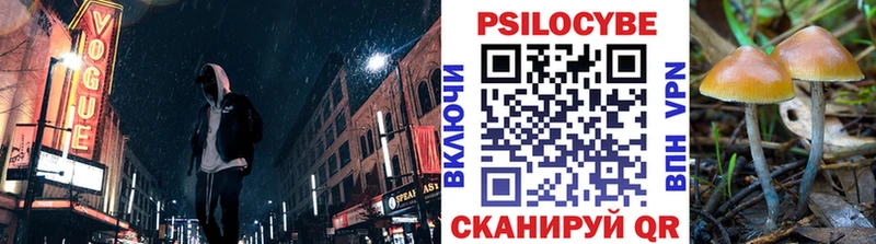 Галлюциногенные грибы мицелий  где купить наркоту  Ессентукская 